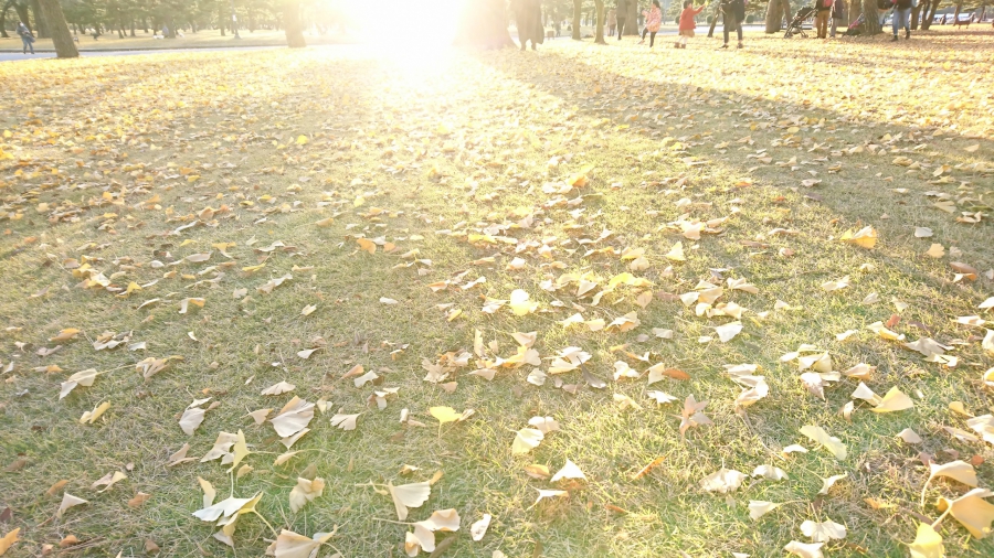 autumn_park